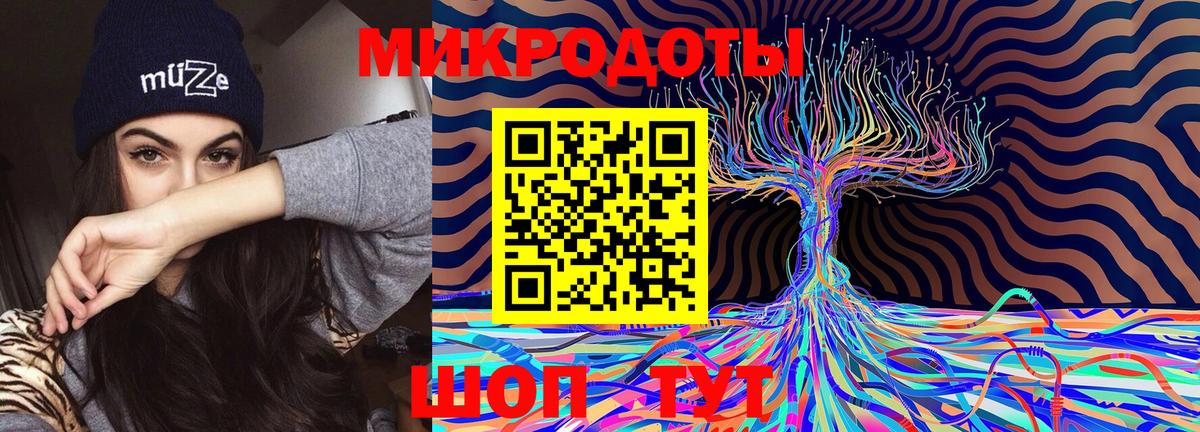 Псилоцибиновые грибы Psilocybe Зеленогорск