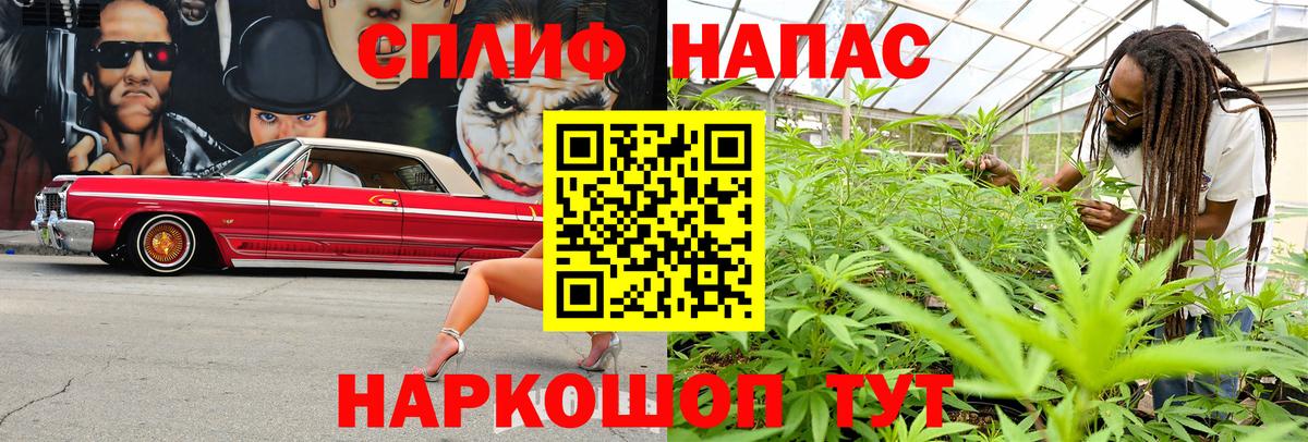 Бошки марихуана планчик  Канабис VHQ  Шишки марихуана OG Kush  Вход с VPN  Зеленогорск 